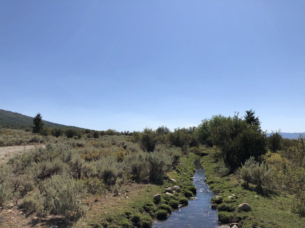 Eagle's Nest Ranch: 75 Perimeter Drive, Alta, WY 83414